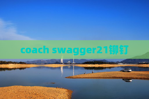 coach swagger21铆钉